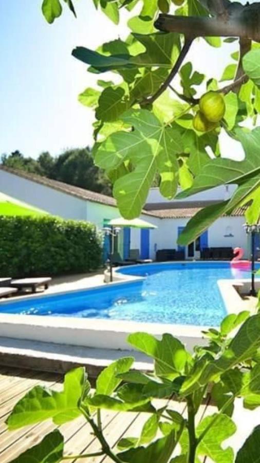 La Villa Du Menhir Chambre D'Hotes Bize-Minervois Екстер'єр фото