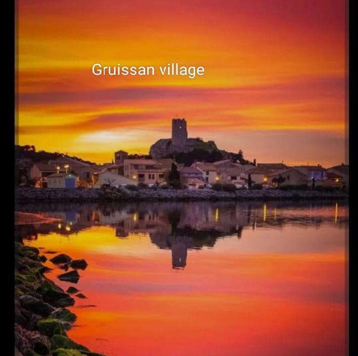 La Villa Du Menhir Chambre D'Hotes Bize-Minervois Екстер'єр фото